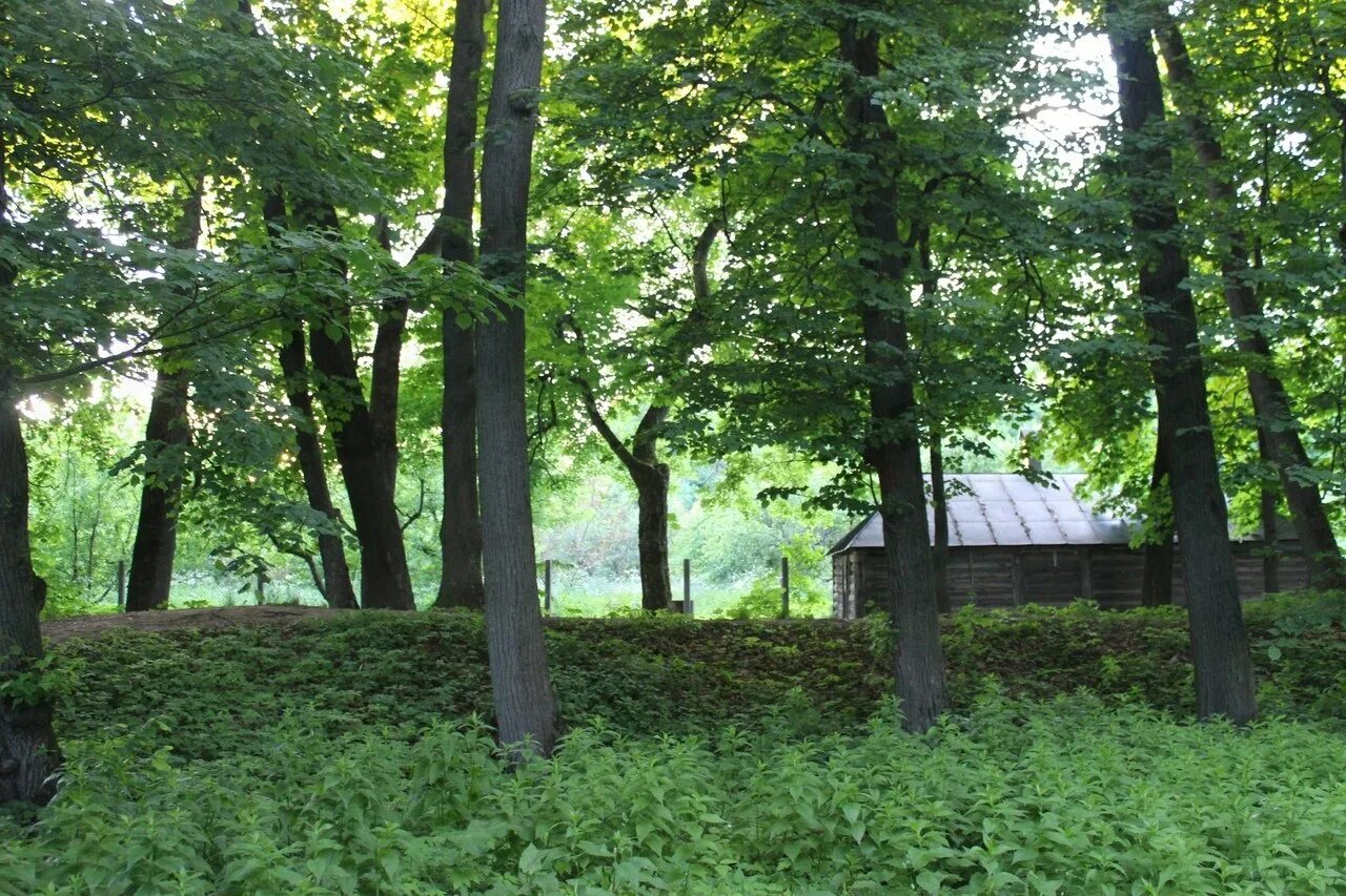 Ясная Поляна Тула. Усадьба Ясная Поляна. Музей усадьба Толстого в Ясной Поляне. Ясная Поляна толстой.