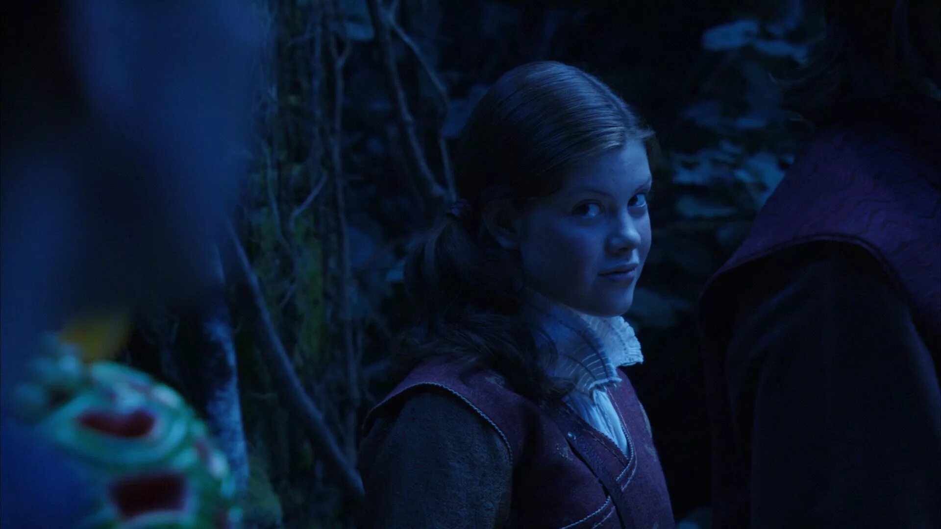 хроники нарнии 3