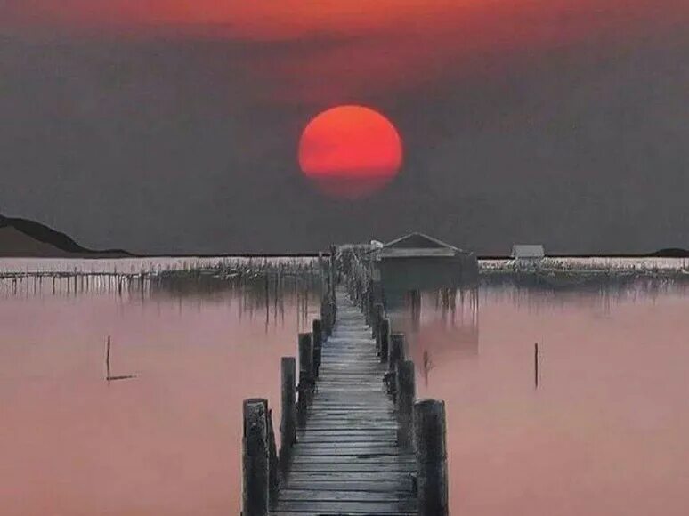 Двойственность амбивалентность. Мстительный гороскоп. Умные цитаты. Хорошие высказывания про двойственность мира. Неопытность людей.