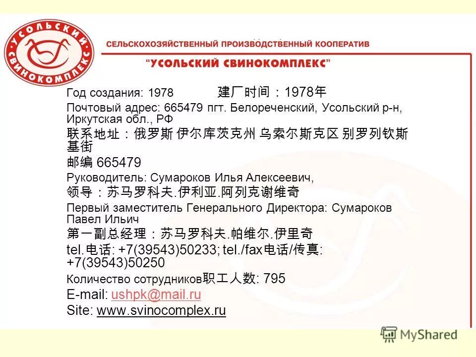 Свинокомплекс черкизово. Свинокомплекс черемхово. Свинокомплекс черемхово. Пластиковые перегородки для свинокомплексов. Схпк усольский свинокомплекс.