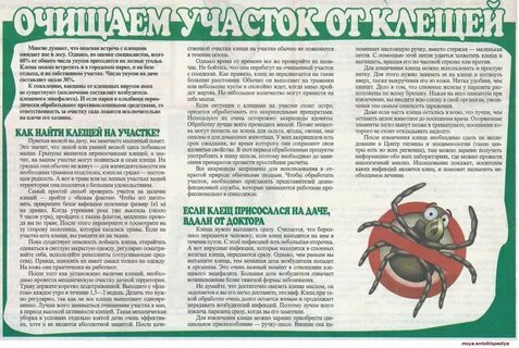 При какой температуре обрабатывать от клещей участок