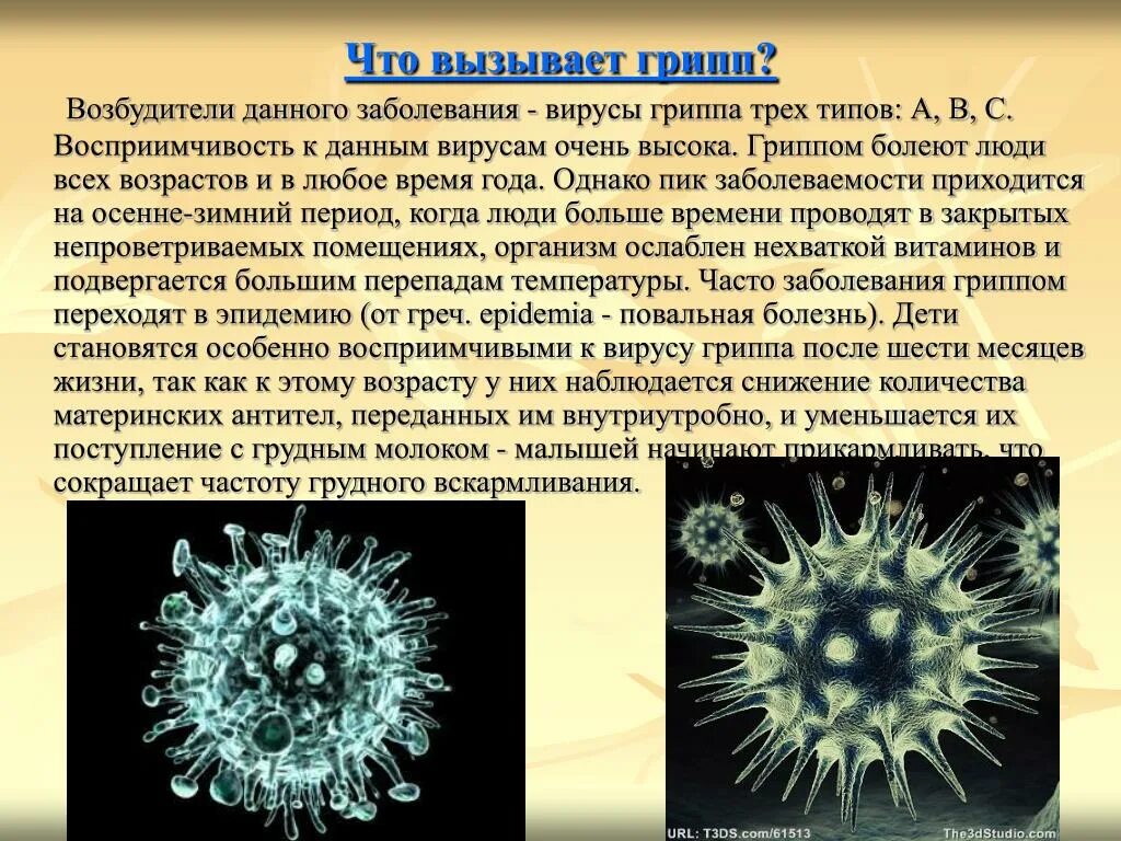 Вирусные заболевания. Вирус гриппа. Болезни вызываемые вирусами. Вирусы и вызываемые ими заболевания. Вирусные инфекции описание