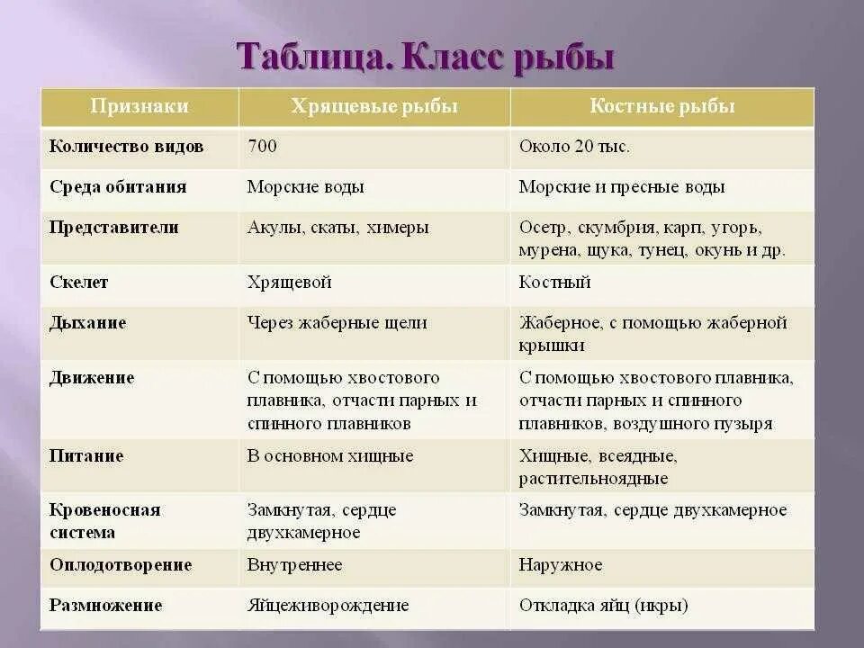 Таблица рыбы 8 класс биология