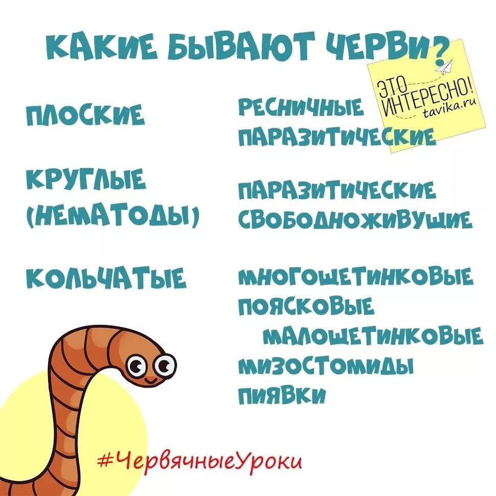 Я копаюсь как червяк текст