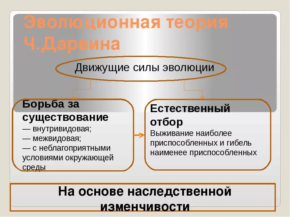 Движущая сила появления признака. Основные движущие силы эволюции. Движущие силы эволюционной теории Дарвина. Основная движущая сила эволюции.