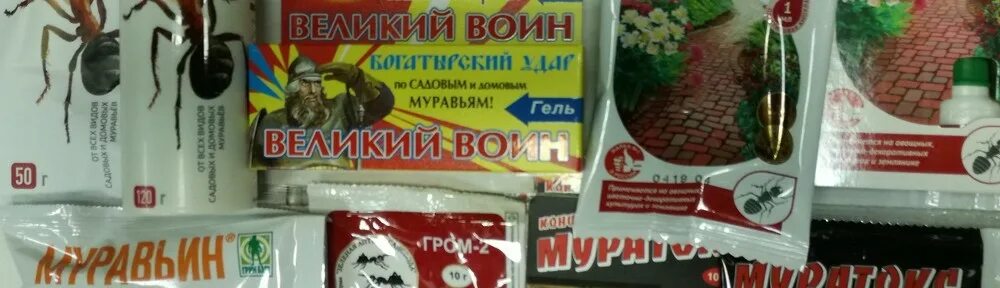 Садовый центр розмарин череповец. Садовый центр розмарин череповец