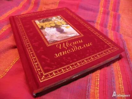Обзоры чехов