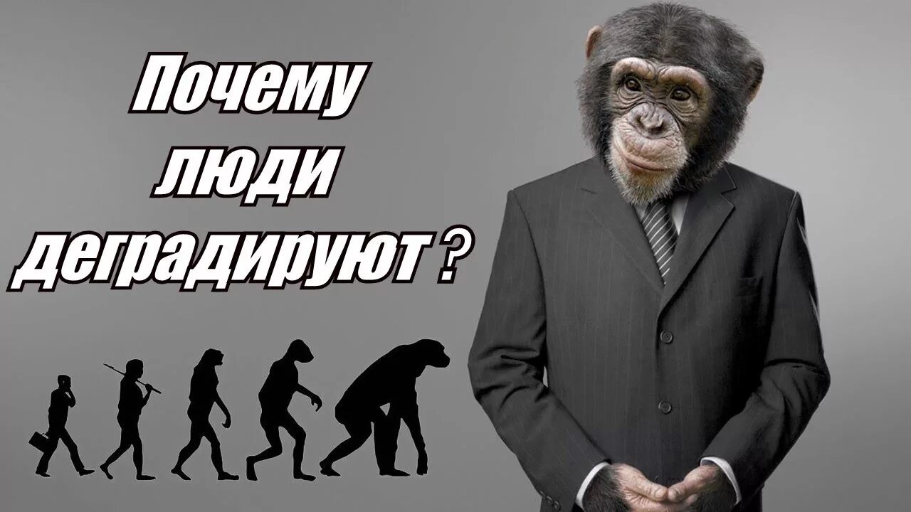 Шутки про ориентацию. Деградация демотиваторы. Деградация что это значит. Полная деградация личности. Деградация что это значит.