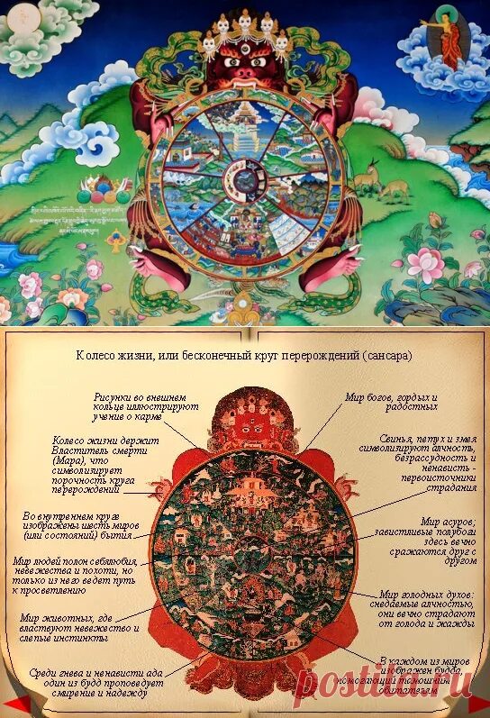 Сансара колесо жизни. Сансара в буддизме. Буддизм круг Сансары. Круг Сансары в буддизме схема. Кали колесо сансары