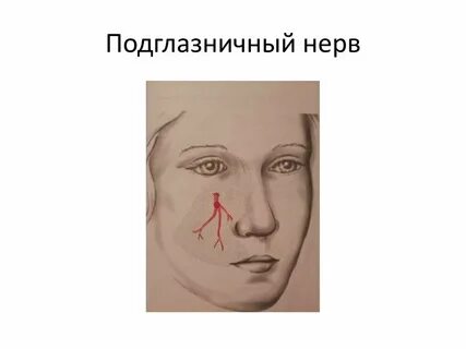 Подглазничный нерв
