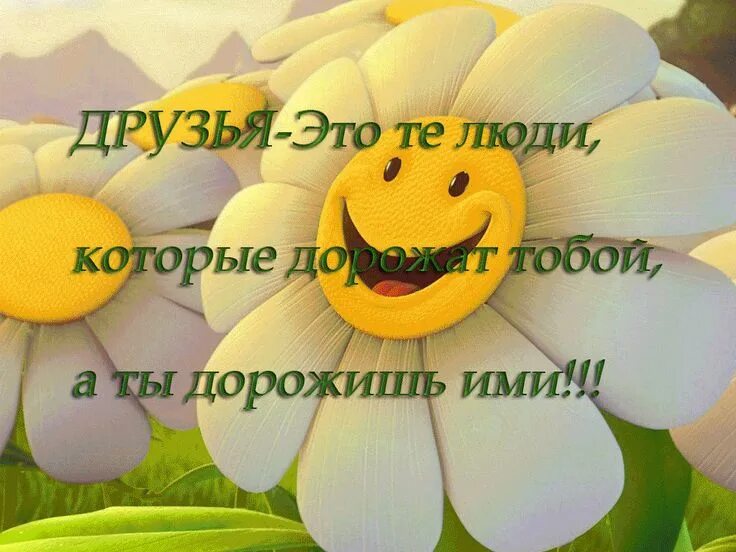 Как вы друг мой
