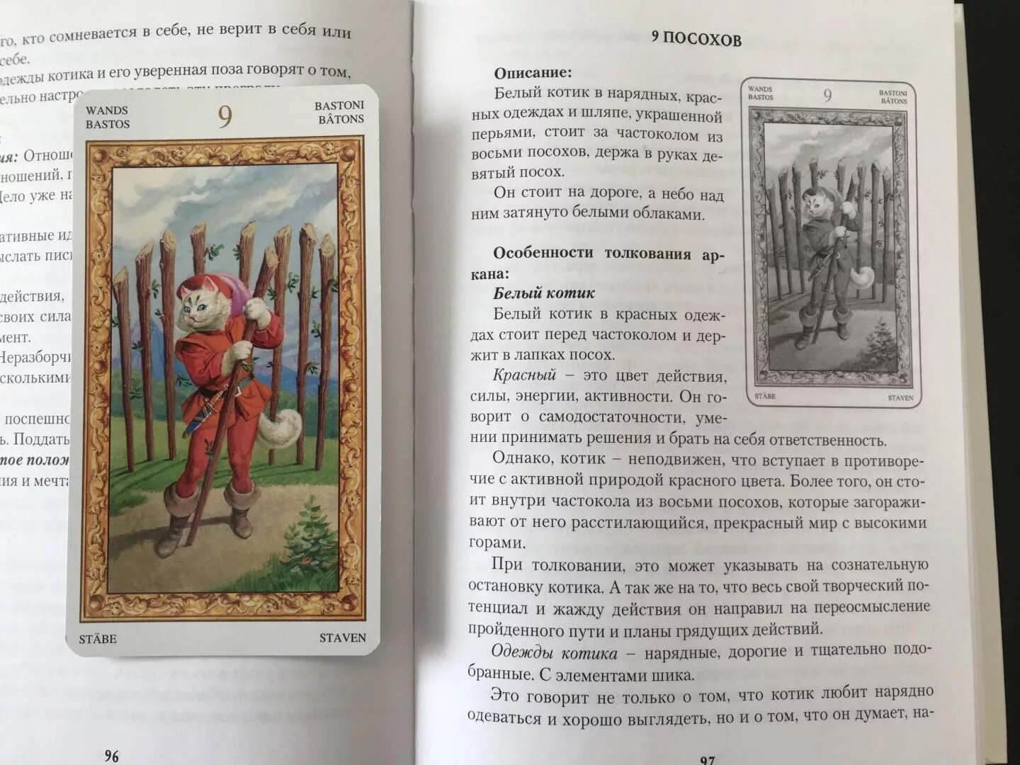 Карты таро кошки значение. Таро белых кошек толкование карт. обозначения карт таро белых кошек. таро белых кошек книга. таро белых кошек трактовка.