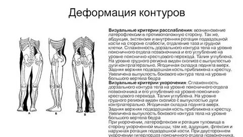 Ротация сустава