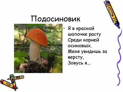 Составить познавательный текст про подосиновик
