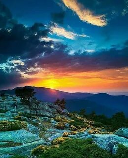 Colour nature