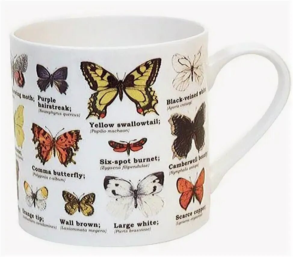 Бабочка с кружками 13 букв. Кружка с бабочками и цветами. Vabene Кружка с бабочкой. Бежевая чашка с бабочками. Картинки чашка бабочки.