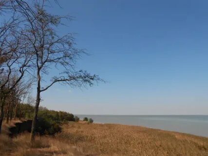 Поселок садовый ейский