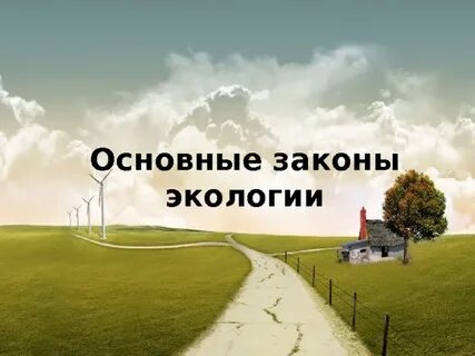 Экологический закон жизни