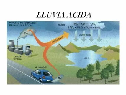 Acid rain the fish and plant species