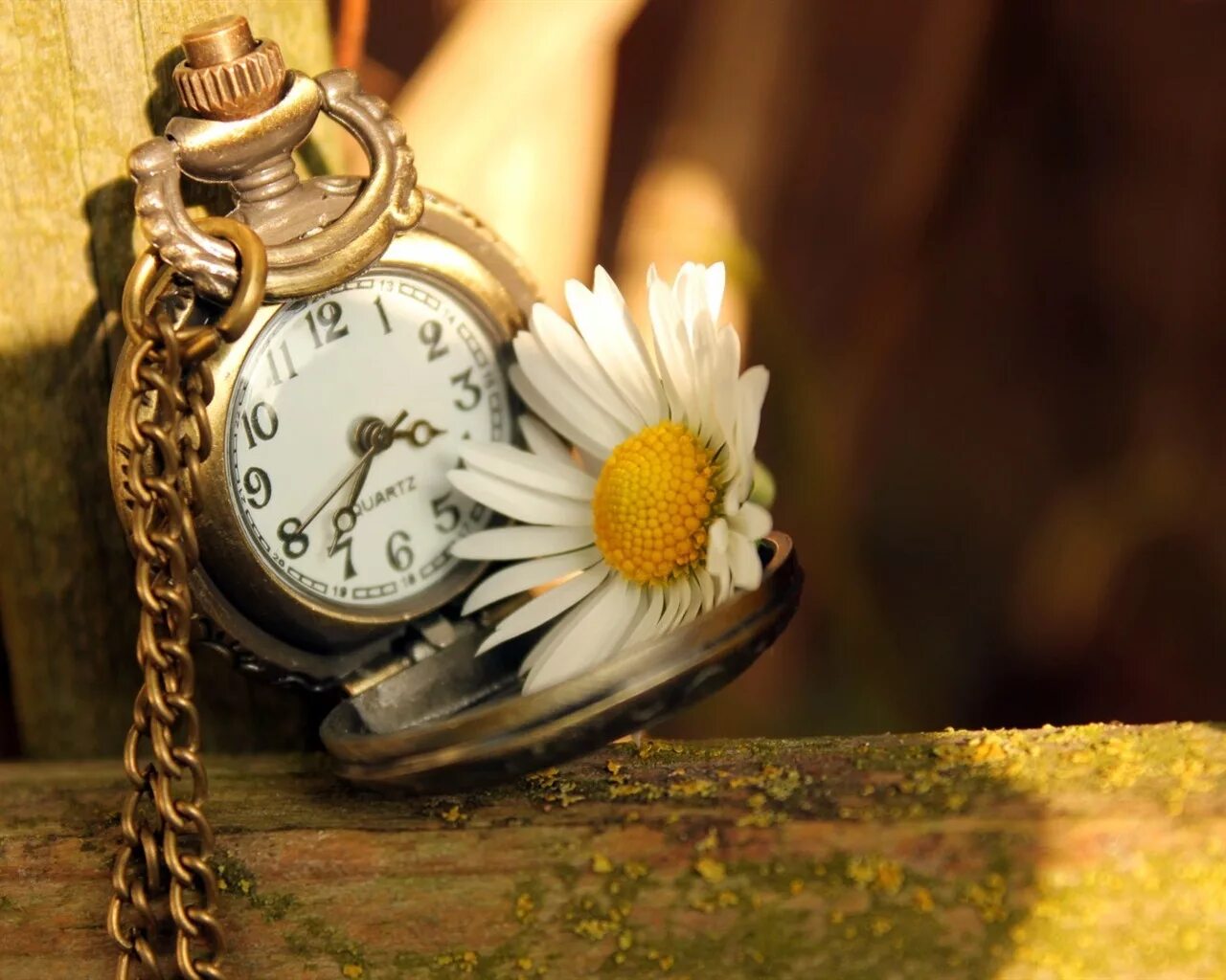 Life clock