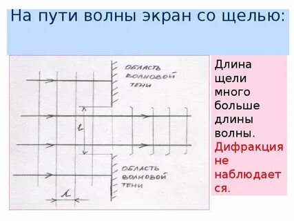 Путь волны