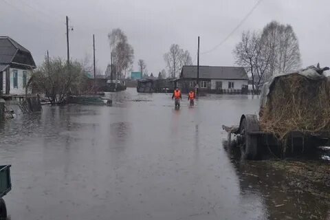 Паводок 2024 алтайский край