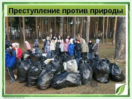 Экологический день в школе