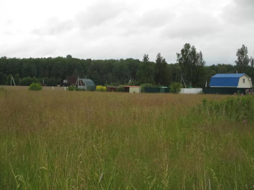 Сот 1. Сот 1. 1 сот. 5 ед. Село носово неклиновского района.