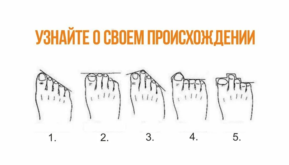 Понимающий как проверить. Как узнать сколько бонусов спасибо на карте. Как понять. Как узнать подключенные услуги на мегафоне. Понять как проверить.