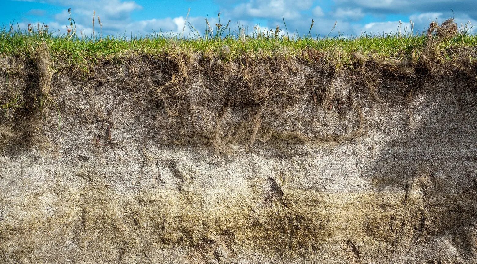 Срез почвы земли. Срез земли. Грунт в разрезе. Слои земли. Супесь элювиальная.