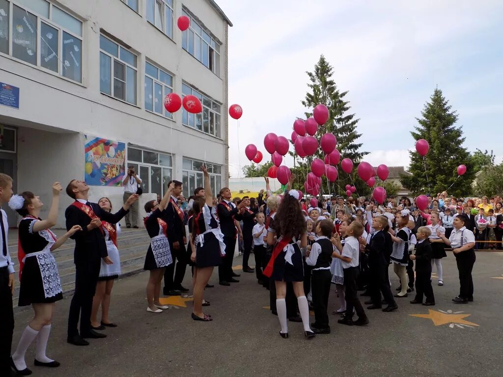 Школа 20 главная. Школа 20 красный октябрь Темрюкский район. Школа 20 Краснодар. Школа 20 Темрюкский район посёлок светлый путь. Поселок красный октябрь школа.