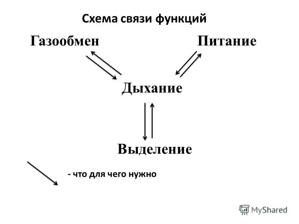 Схема связи функции