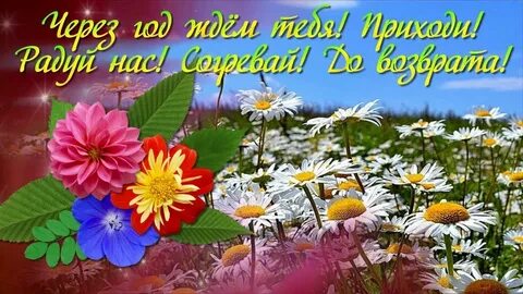 С июля картинки красивые пожеланиями