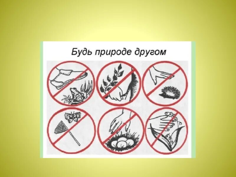 Будь природе другом 2 класс