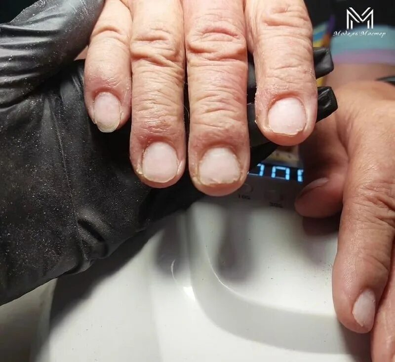 Мастер полоцк. Мастер полоцк. Мастер полоцк. Музей кузнечного мастерства тюмень. Мастер полоцк.