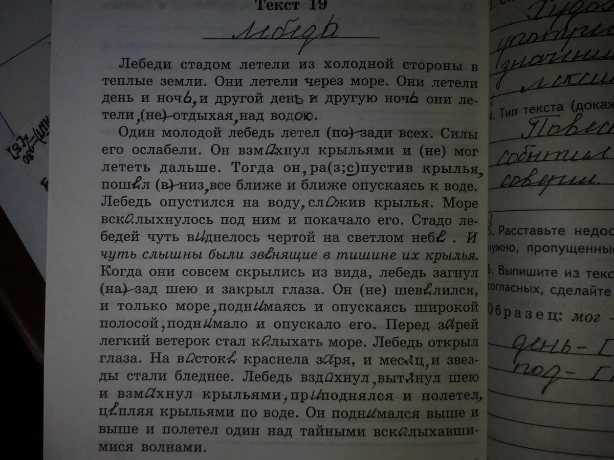 Три текста л. Лебеди стадом летели из холодной. Толстой лебеди стадом летели из холодной стороны. Лебеди стадом летели из холодной стороны в теплые земли текст. Л Н толстой лебеди стадом летели из холодной стороны в теплые земли.