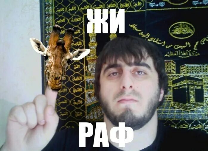 Есть ли жи