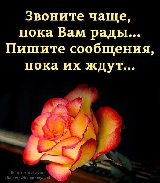 Мужу постоянно звонят. Звоните чаще пока вам рады. Звоните чаще пока вам рады пишите сообщения пока их ждут. Звоните пока вам рады пишите пока. Звоните чаще.