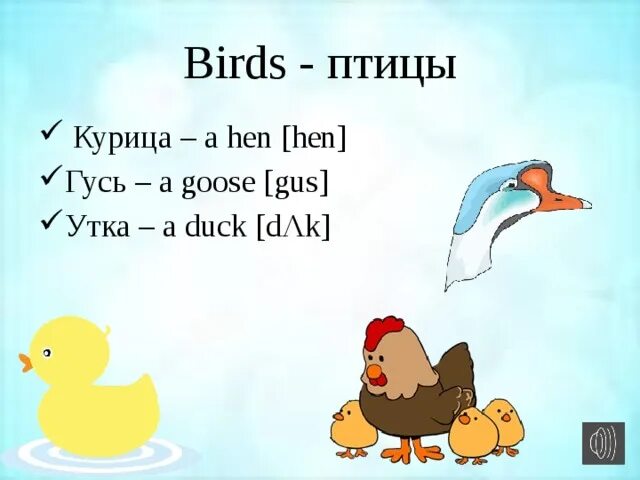 Гусь Гус дак. Гусь Гусь дак русский. Пук Гусь Гусь дак. Код для Goose Goose Duck. Как по английски будет утка