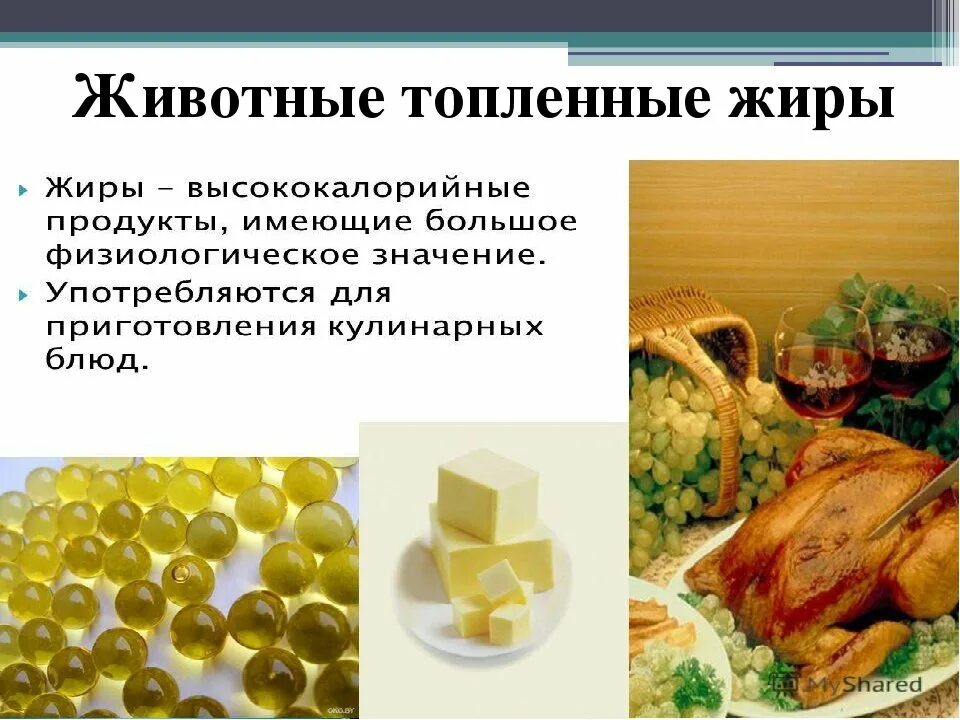 Жиры. Жиры в продуктах. Ассортимент пищевых животных жиров. Растительные и животные жиры. Производство пищевого жира