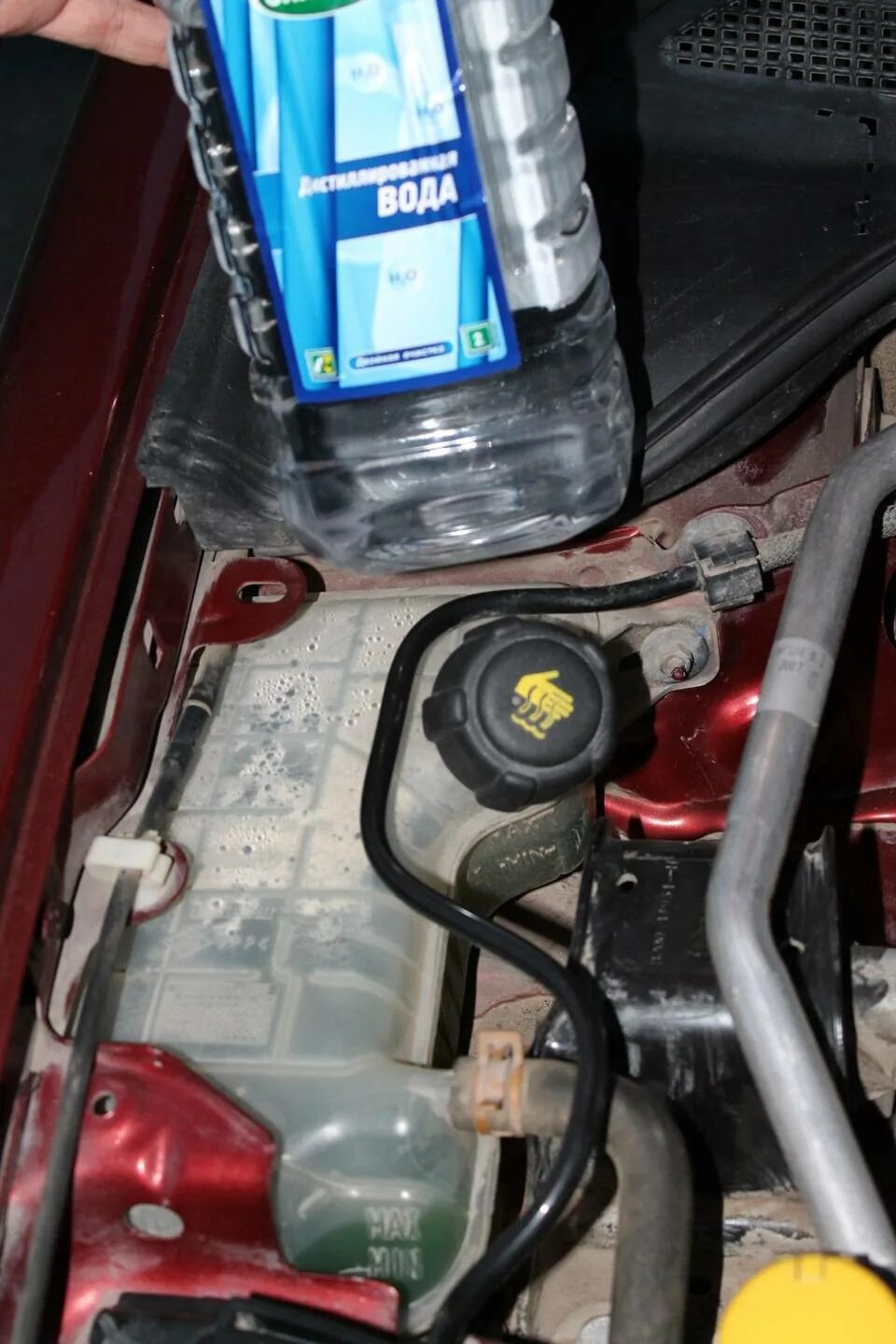 Антифриз меган 2. Антифриз бачок renault megane 2. бачок антифриза рено меган 2. рено 2 бачок антифриза. бачок жидкость гур меган 2.