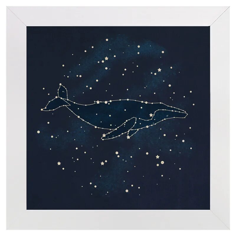 В далеком созвездии кита. Созвездие кита схема. Созвездие кита гевелий. Звездный кит Сетус. Созвездие кит для детей.