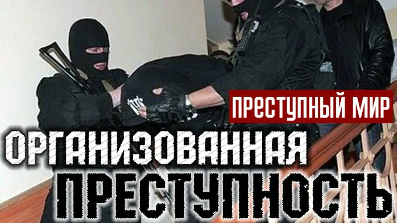 Устойчивое преступное сообщество. Преступное сообщество. преступная деятельность криминальных сообществ. опг надпись. преступные группировки надпись.