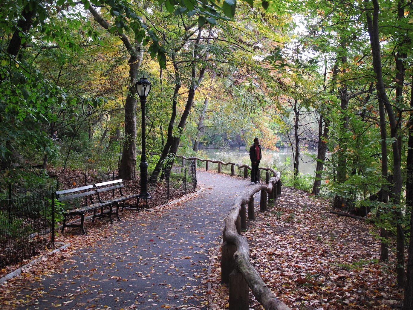 Про́спект-па́рк (англ. Prospect Park) — большой общественный парк в Бруклине. Централ парк осенью Нью Йорк. Скамейки в Центральном парке Нью-Йорка. Зеленый парк hq. Парк ис
