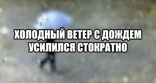 Холодный ветер с дождем усилился стократно. Холодный ветер усилился стократно. Холодный ветер с дождем усилился слова. Усилился стократно.