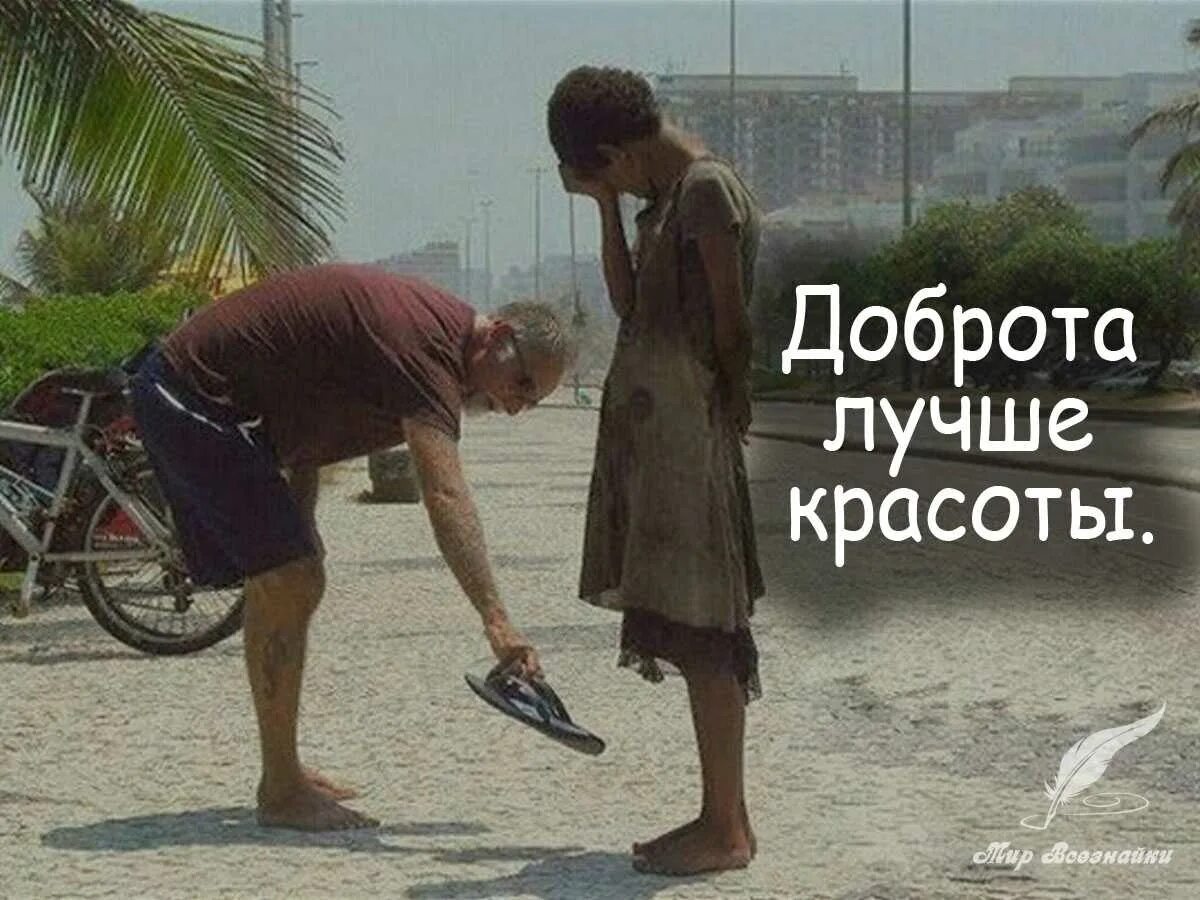 Совершай поступки цитаты. Добрые поступки. афоризмы про добрые дела. цитаты про доброту. цитаты про добрые поступки.