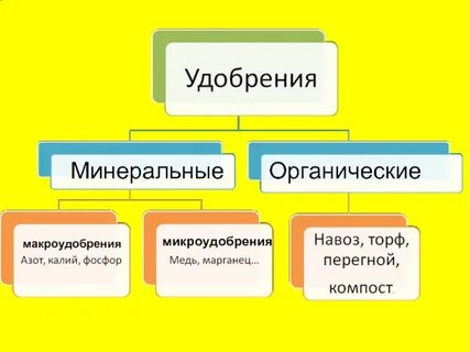 Заполните схему виды удобрений