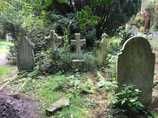 Old graves. Old graves