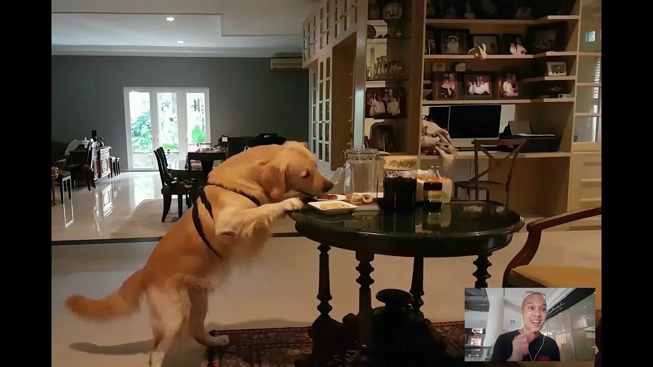 It when we left home