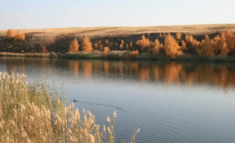 Река город костанай. Река Тобол. Река Тобол в Казахстане. Река Тобол Лисаковск. Река Тобол в Рудном.